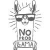 No Prob Llama