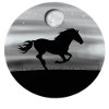 Cheval chevaux lune