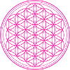 Blume des Lebens in rosa