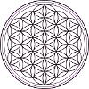 Flower of life in black
