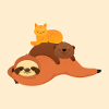 Paresse, loutre, chat