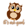 Owls T-Shirt Owl good gift