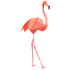 flamant rose