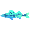 Zander