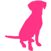 Labrador