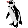 Pinguin