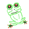 frog