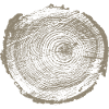 Tree wood annual rings