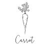 carrot
