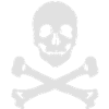 Pirate skull