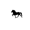 Die mit dem Isländer
