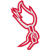 pyro
