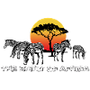 l'Esprit de l'Afrique (zèbres)