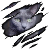 Russian blue in me