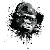 gorilla