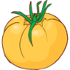 Yellow tomatoes Paradeiser