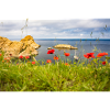 Horizont