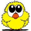 oiseau