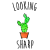 Looking Sharp Cactus Pun
