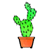 Cactus aquarelle