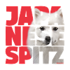 Japanese Spitz NASSU II