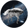 Cheval de requin dans l'espace