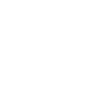 feminist