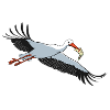 Stork with pizza