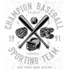Champion baseball