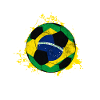  du Brésil