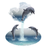 Le Coeur De Les Dolphins