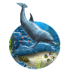 Le monde des dauphins