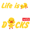 duck