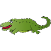 Crocodile