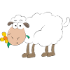 sheep