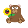 33 bear sunflower