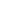 Kungfu Fighter