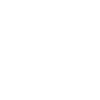 Coordonnateur officiel du Chaos