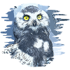 gxp schneeeule vector art