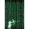 The Matrix Archer