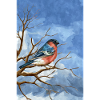 Vogel des Gimpels