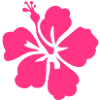 Surfer Flower Hibiskus