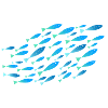 school of turquoise fish