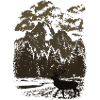 Bergwald und Rothirsch (Braun)