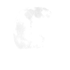 L'écureuil et la pleine lune