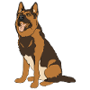 German shepherd dog