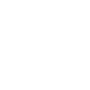 scout