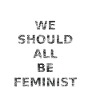we should all be feminist