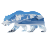 polar bear
