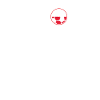 Soccer Poland